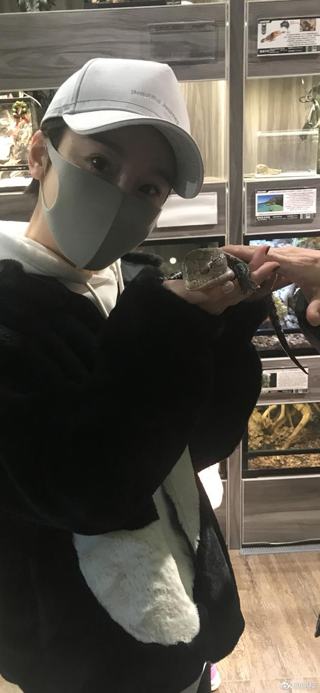谢楠带娃出游 晒照大胆抚摸爬行动物